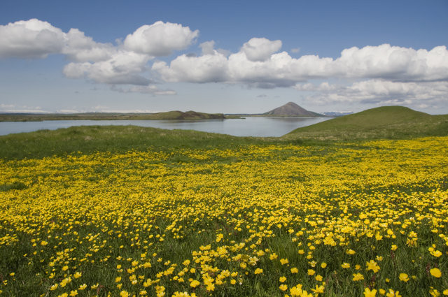 Sumarlokun skrifstofu